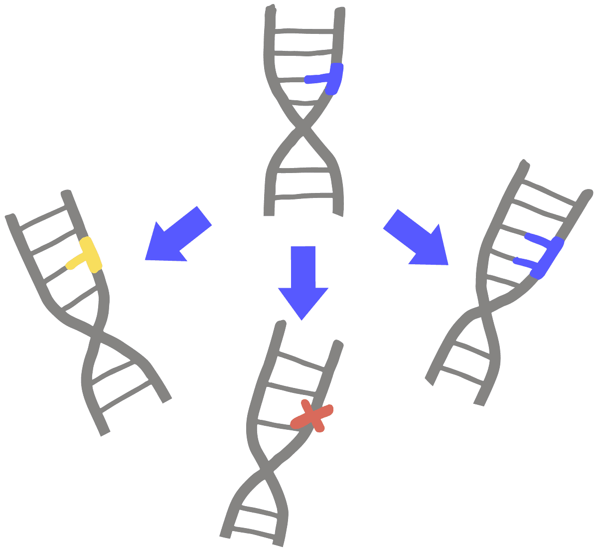 mutation