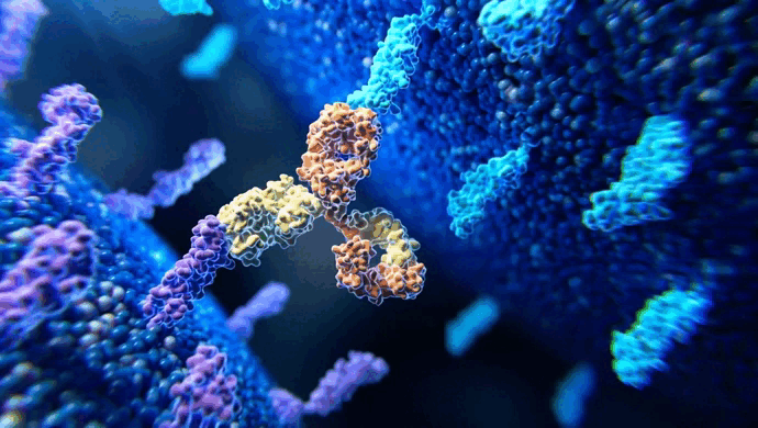 antibody gentaur antibody gentaur