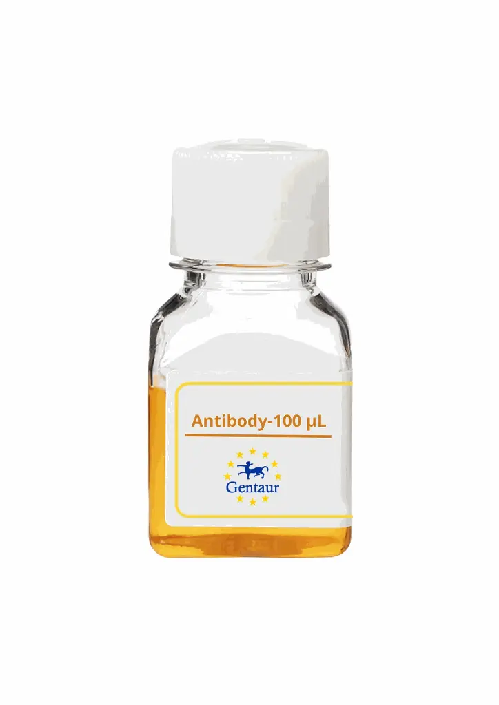 PTPRS Antibody