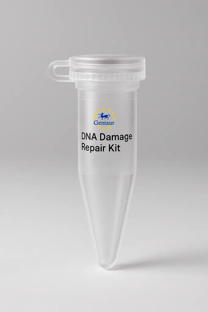 DNA Damage Repair Kit