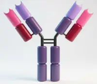 6xHIS Antibody - HRP Conjugated 