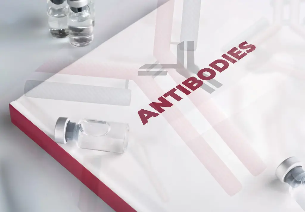 Anti-ARHGAP17 - Antibody