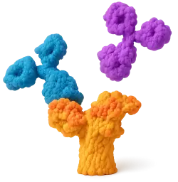  450 Rabbit anti-Mouse CD304/Neuropilin-1 mAb (100 T)