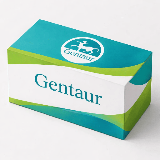 [FNab07309] RINT1 antibody