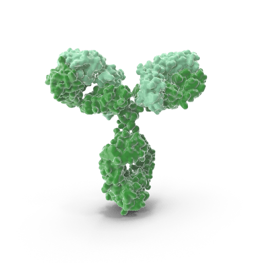 [WG-GB15200-LG] Recombinant Anti-alpha Tubulin antibody (Mouse Monoclonal Antibody) - 100 μL