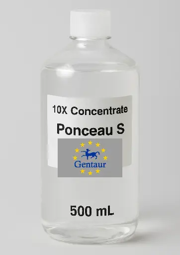 [M003-B500ML] 10X Concentrate Ponceau S Protein Staining Solution