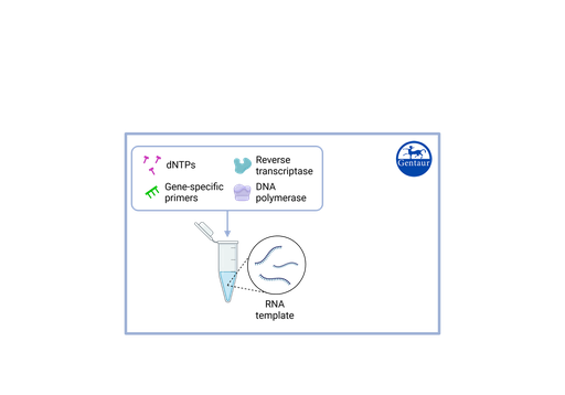 [R3-​P440-​S3/9] RT PCR Test Kits