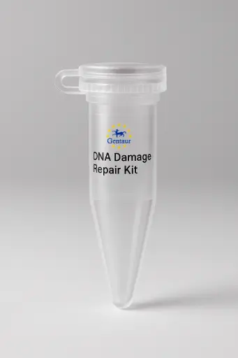 [MA-NGS-01] DNA Damage Repair Kit