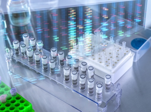 [GEN-BXP1001-1] pMEV2HA Mammalian Expression Vector
