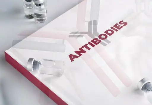 [AB-1335] Anti-beta synuclein (108-125) - Antibody