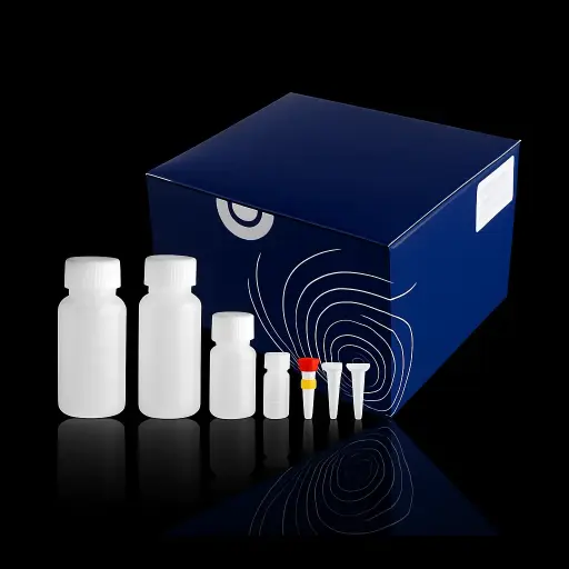 [GDP108-sf] EndoFree Midi Plasmid Kit (10 preps)
