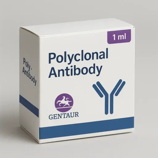 [A53132-100] TPM2 Polyclonal Antibody, HRP Conjugated